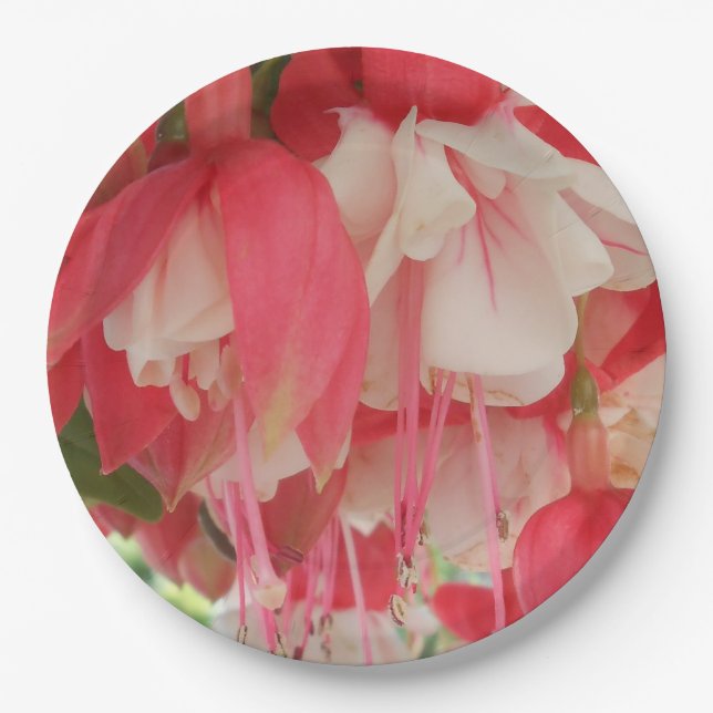Bashkirtseff Paper Plate (Front)