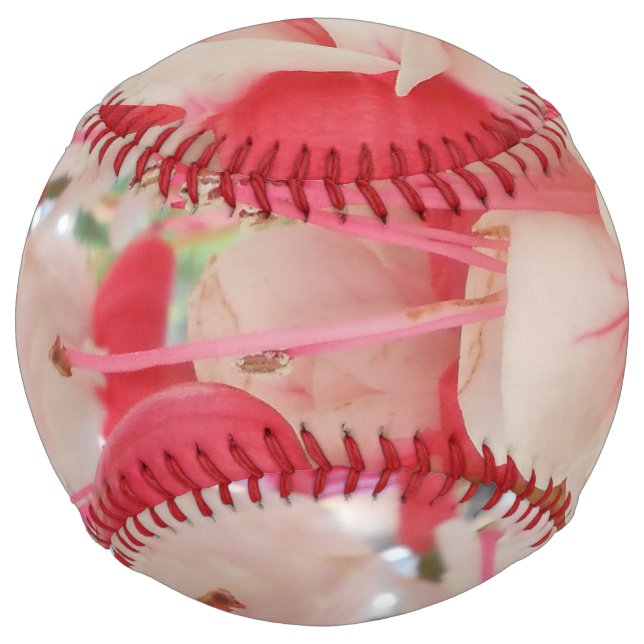 Bashkirtseff Softball (Front)