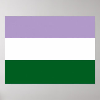Basic Genderqueer Flag Horizontal Poster 