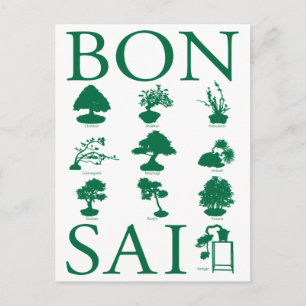Basic Styles of Bonsai Tree Postcard