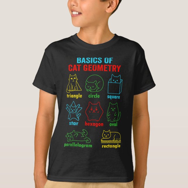 Basics Of Cat Geometry Fun Back To School Math Tea T-Shirt (Front)