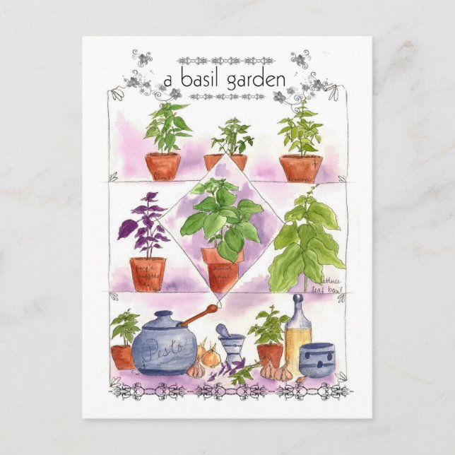 Basil Garden Watercolor Herb Art Pesto Garlic Postcard (Front)