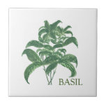 Basil Herb Greenery Kitchen Culinary Green  Tile<br><div class="desc">Basil herb watercolor painting kitchen tile. Hand painted by myself. Lovely kitchen décor. Greenery,  rustic décor.</div>