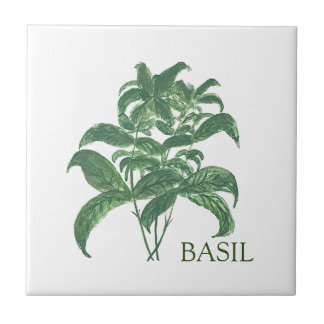 Basil Herb Greenery Kitchen Culinary Green  Tile