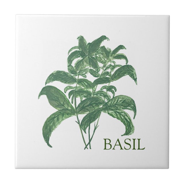 Basil Herb Greenery Kitchen Culinary Green  Tile (Front)