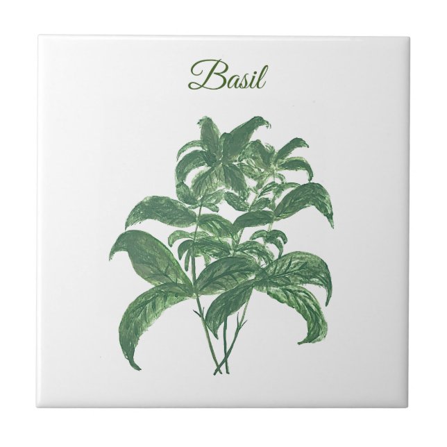 Basil Herbs Greenery Kitchen Green Plant  Tile (Front)