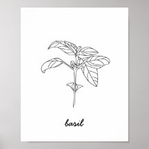 Basil Illustration Print