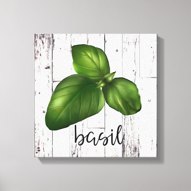 BASIL LEAF White Wood Rustic Farmhouse Kitchen Canvas Print (Front)