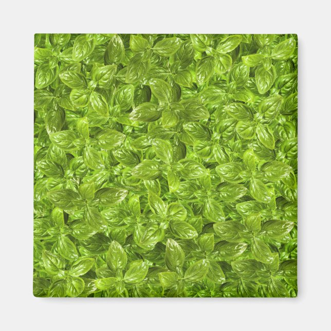 Basil Leaves Pattern Magnet (Front)