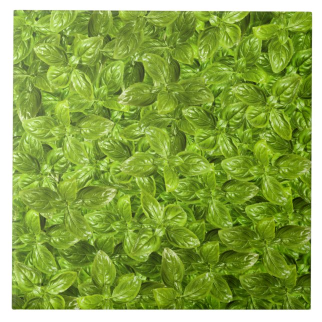 Basil Leaves Pattern Tile (Front)