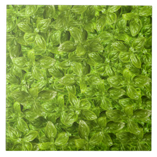 Basil Leaves Pattern Tile