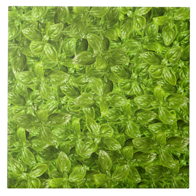 Basil Leaves Pattern Tile (Front)