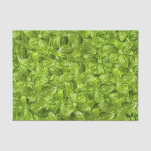 Basil Leaves Pattern Tissue Paper