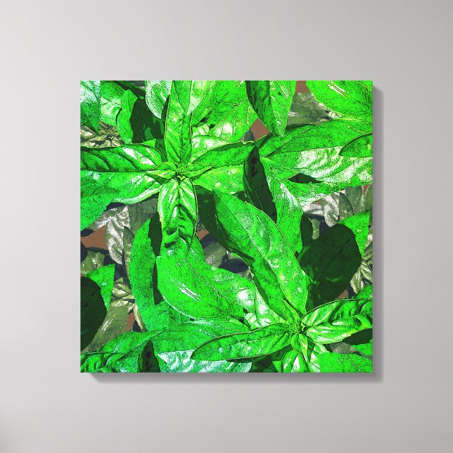 Basil Leaves  Photo  Art Wrapped Canvas (Front)