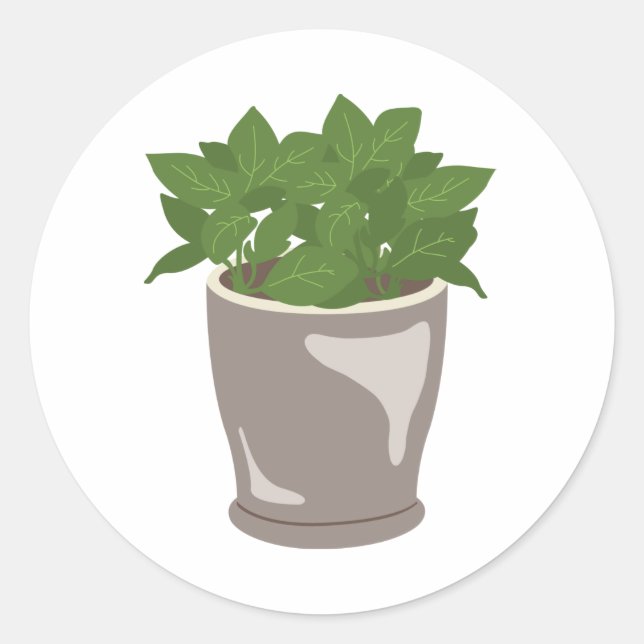 Basil Plant Classic Round Sticker (Front)