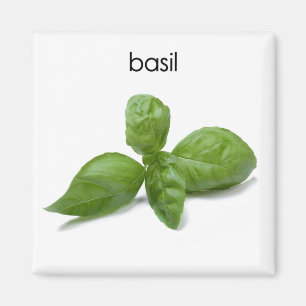Basil Refrigerator Magnet