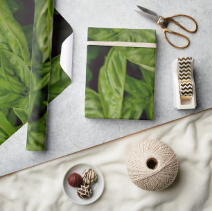 Basil Wrapping Paper