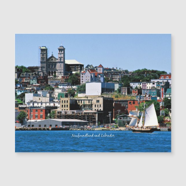 Basilica on the Shoreline in St. John's Postcard (Front)