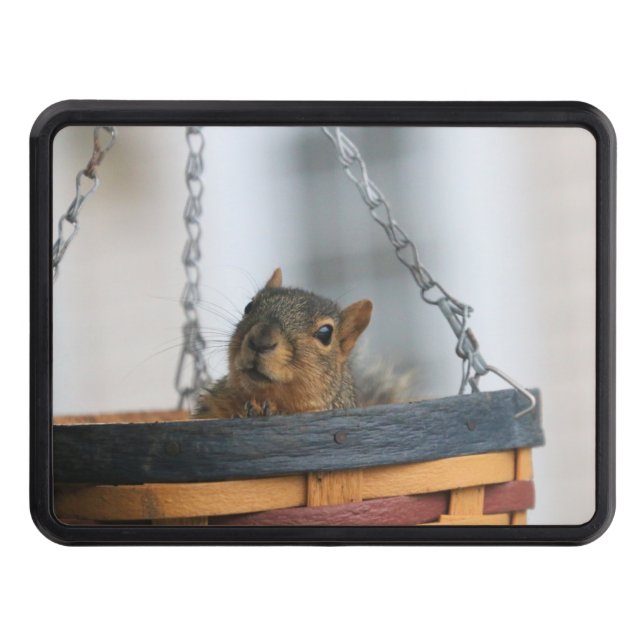 Basket case trailer hitch cover (Front)