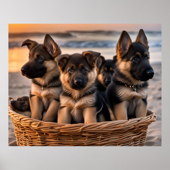 Basket full of German Shepherd Puppies Poster (Front)