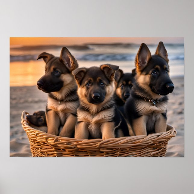 Basket full of German Shepherd Puppies Poster (Front)