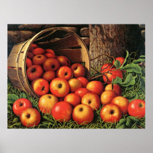 Basket of Apples, fine art painting, Poster