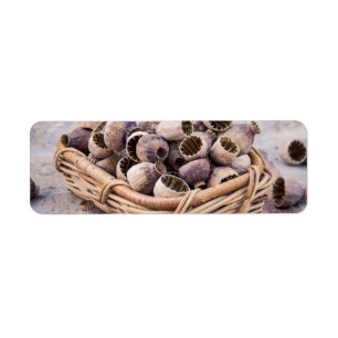 Basket of Dried Pod Poppy Seeds