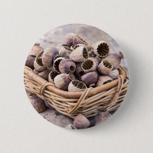 Basket of Dried Pod Poppy Seeds 2 Inch Round Button