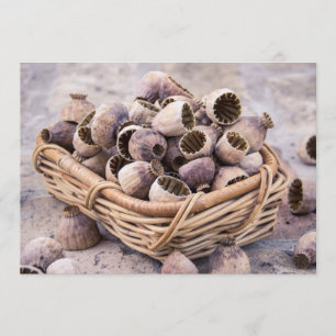 Basket of Dried Pod Poppy Seeds Invitation