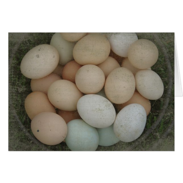 Basket of Eggs (Front Horizontal)