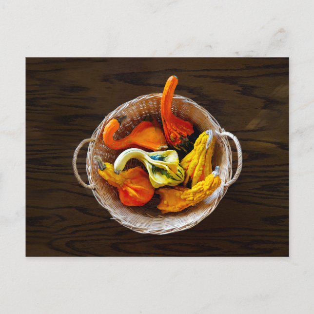 Basket of Gourds Postcard (Front)