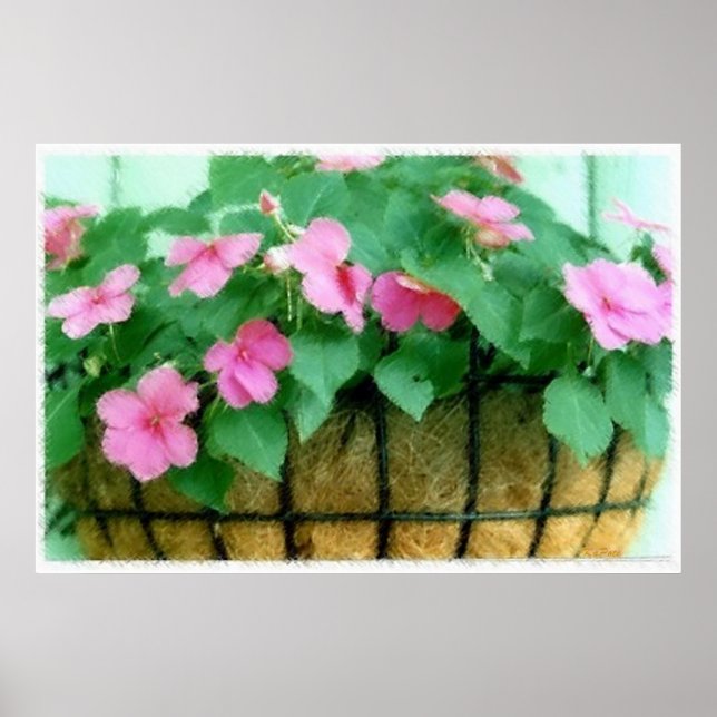 Basket of Impatiens Poster (Front)