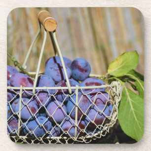 Basket of Purple Plums Coaster