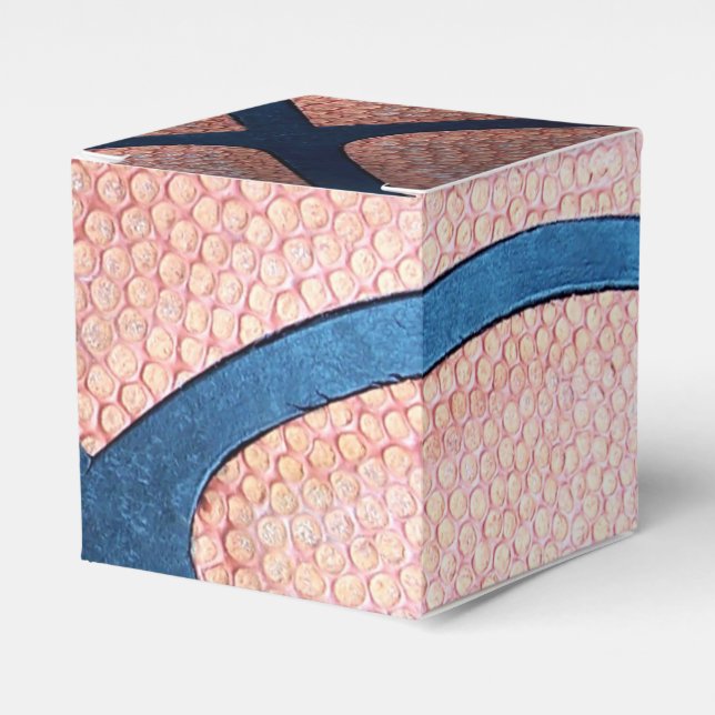 Basketball Favor Box (Front Side)