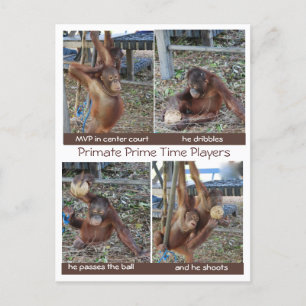 Basketball MVP Hoop Jokes Postcard