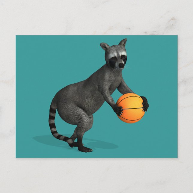 Basketballer Raccoon Postcard (Front)