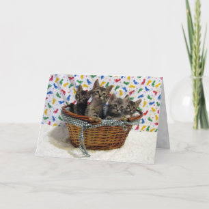 Basketful of Tabbies Birthday Card