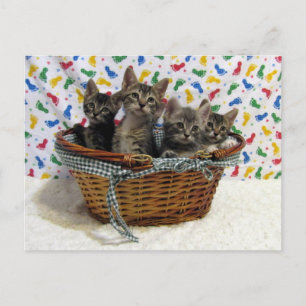 Basketful of Tabby Cats - Postcard