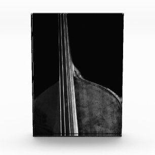 Bass 5 pbcn photo block