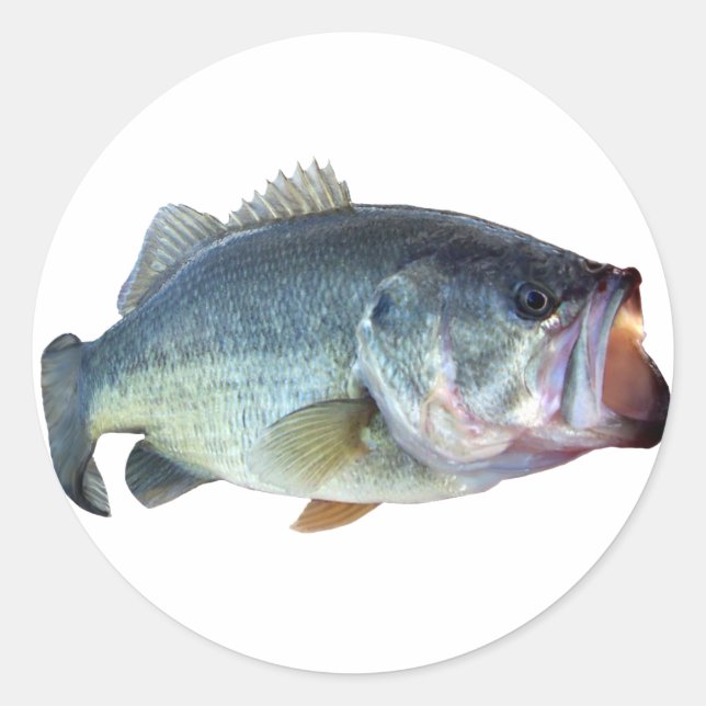 Bass Fish Classic Round Sticker (Front)