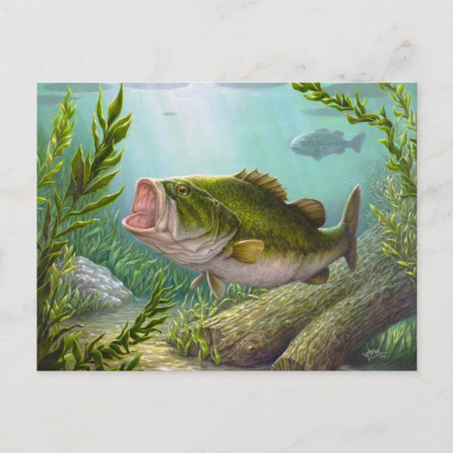 Bass Fish Postcard (Front)