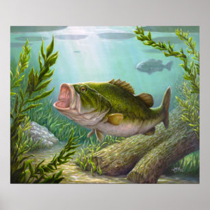 Bass Fish Poster