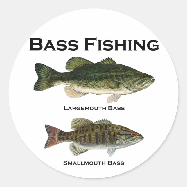 Bass Fishing Logo (largemouth - smallmouth) Classic Round Sticker (Front)