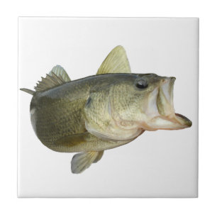 Bass Fishing Tile