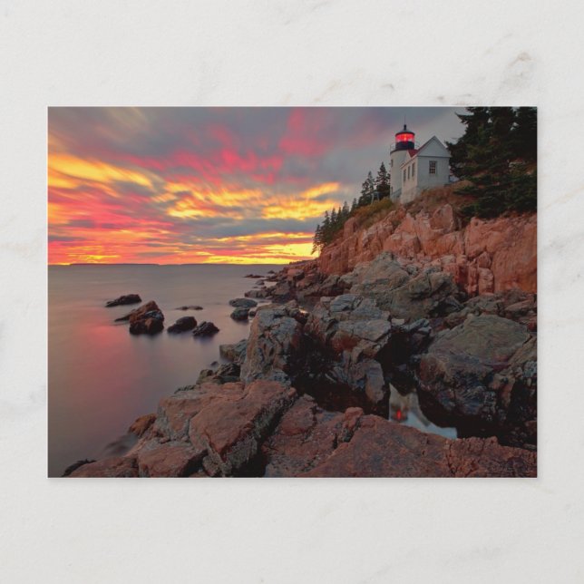 Bass Harbour Head Lighthouse Postcard (Front)