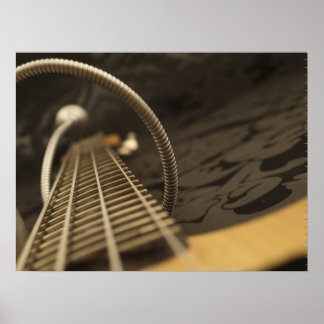 Bass Poster