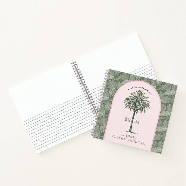 Basse Californie du Sud | Palm Tree Travel Journal (Intérieur)