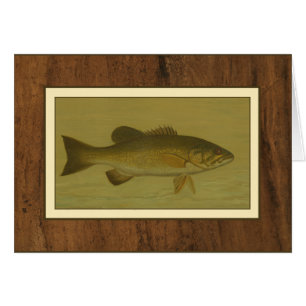 Basse noire sur un Arrière - plan vert