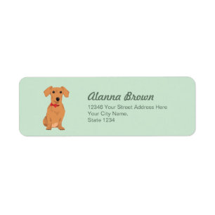 Basset allemand bronzage doux avec le ruban de cou