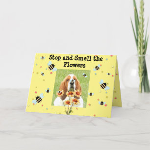 Basset Birthday Card -"Stop And Smell The Flowers"